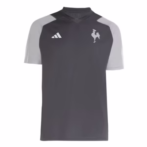 Camisa Atlético Mineiro Treino - 2024/25